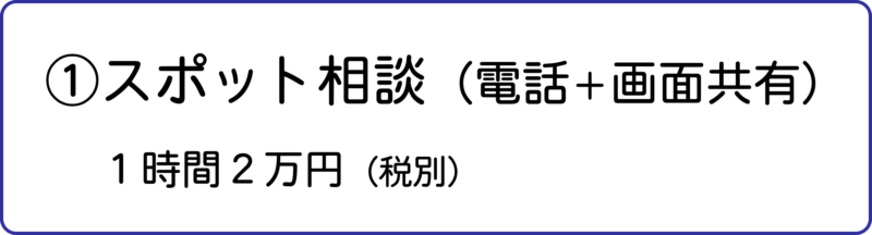 スポット相談（電話＋画面共有）